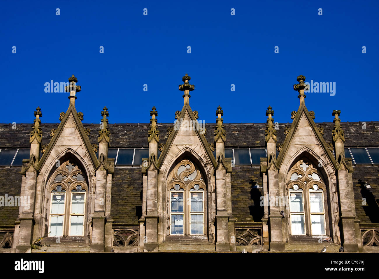 Autumn sun reflections on rows of 1800`s Gothic style windows on an old listed building in Dundee,UK Stock Photo